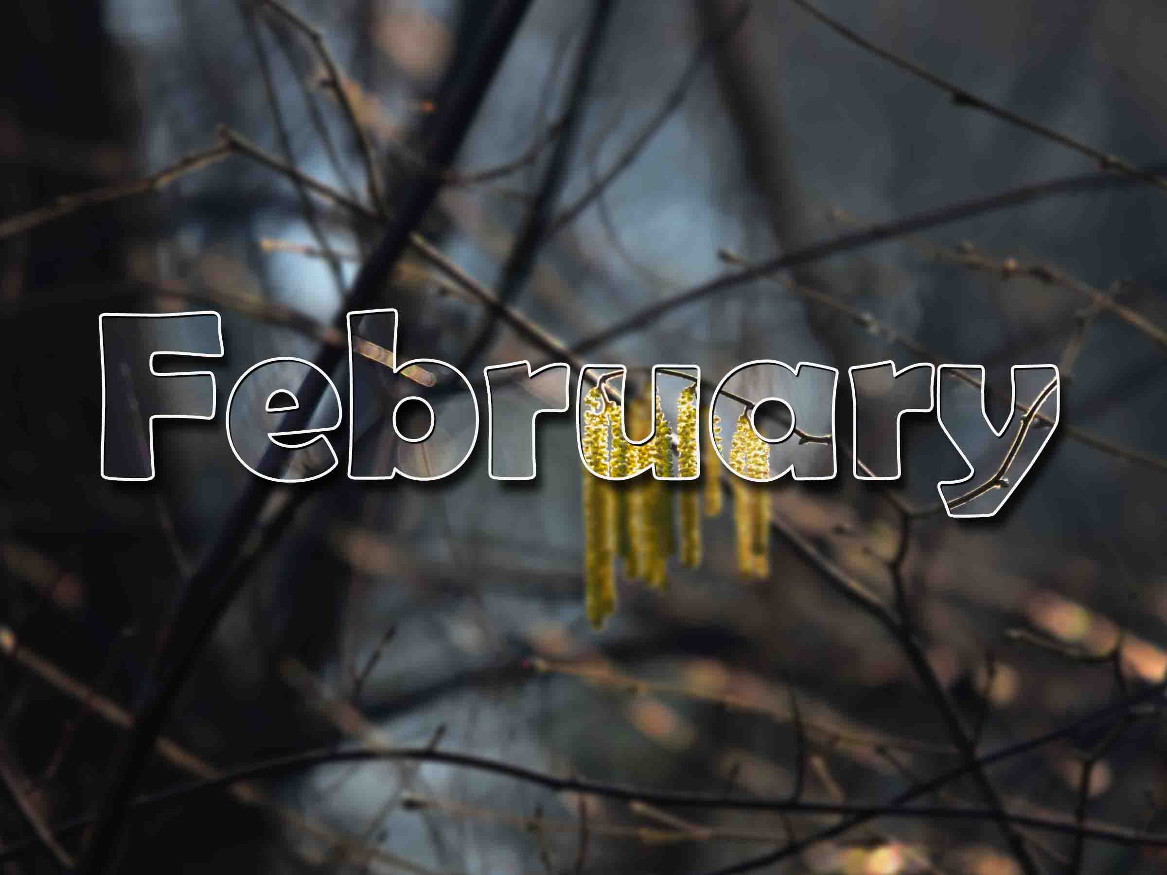 February Newsletters