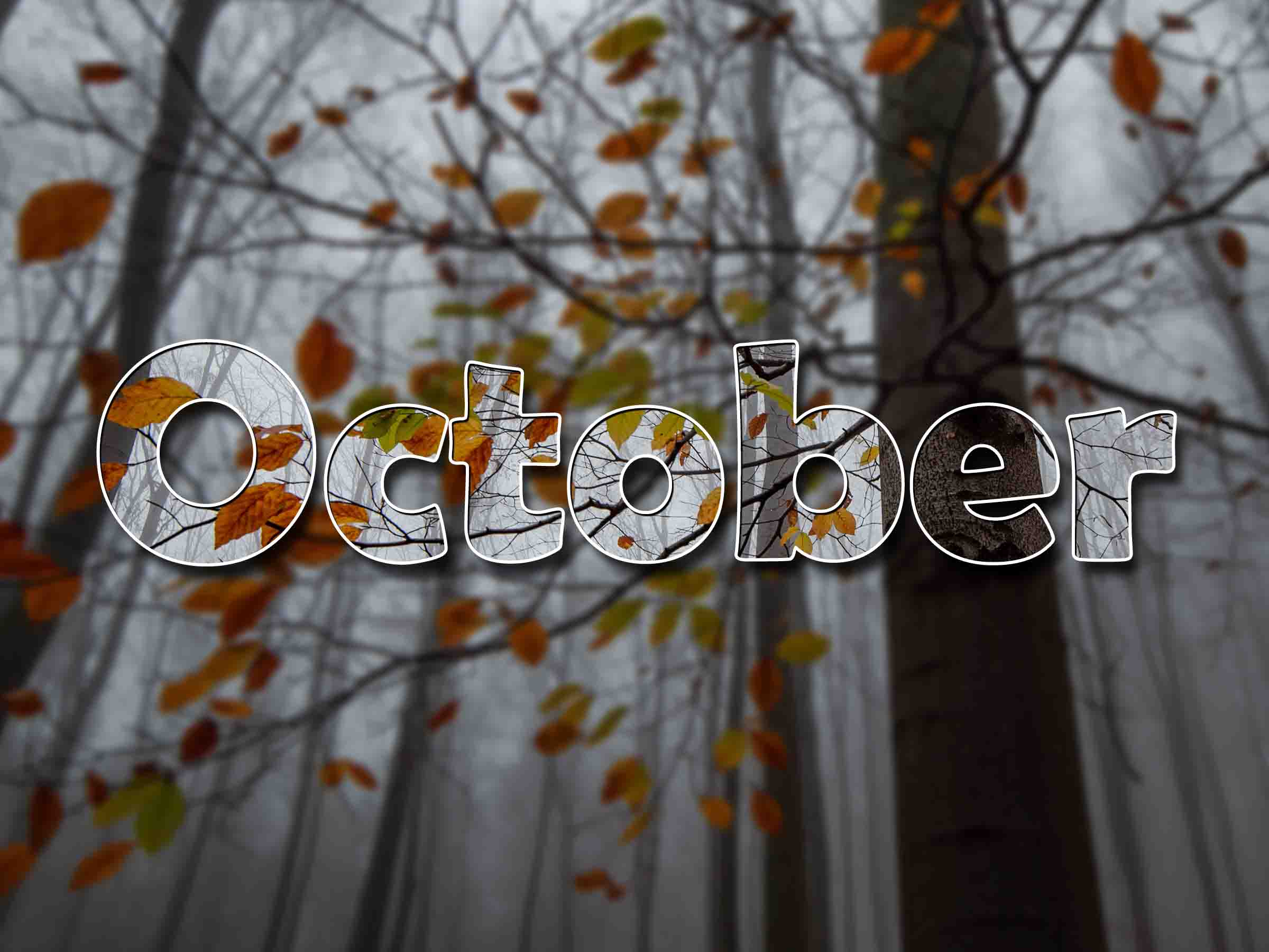 October Newsletter 